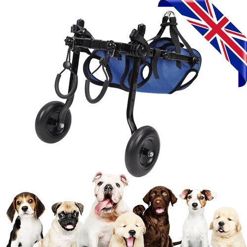 Small dog wheelchair - dog,