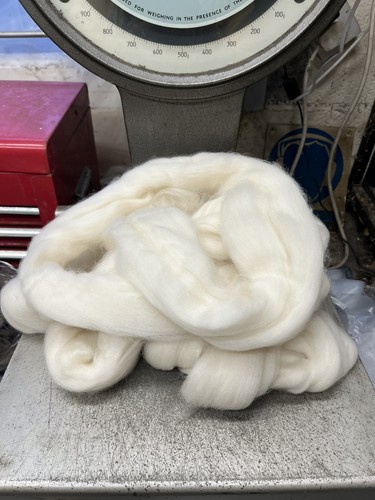Natural white falkland - natural, merino