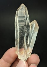 49-gm Transparent Lemurian
