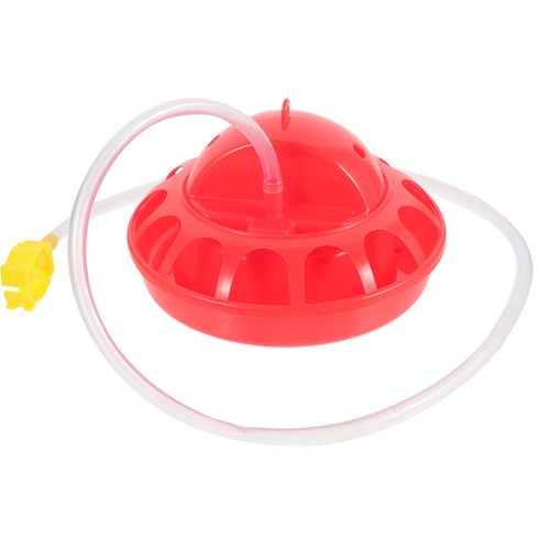 Chick food container chicken - food,