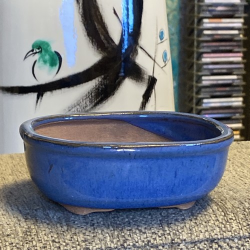 Bonsai pot glazed footed - pot,