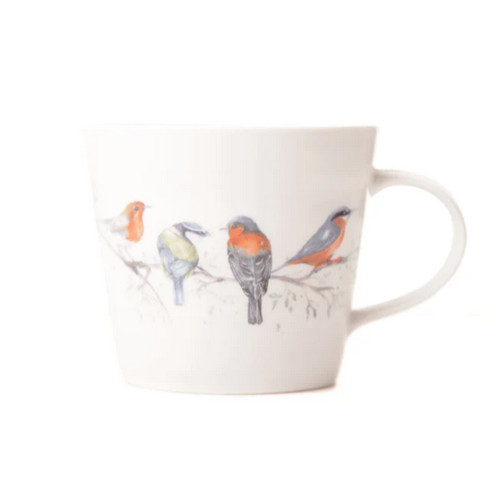 The lookout british birds - the,
