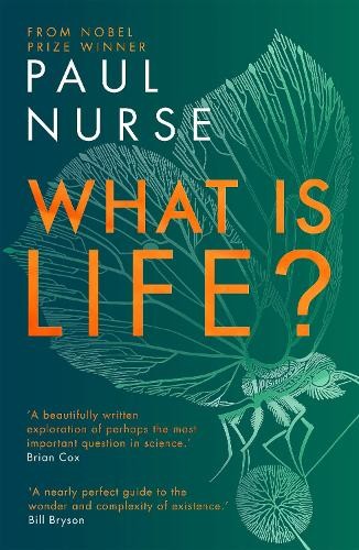 What life nurse paul - is,