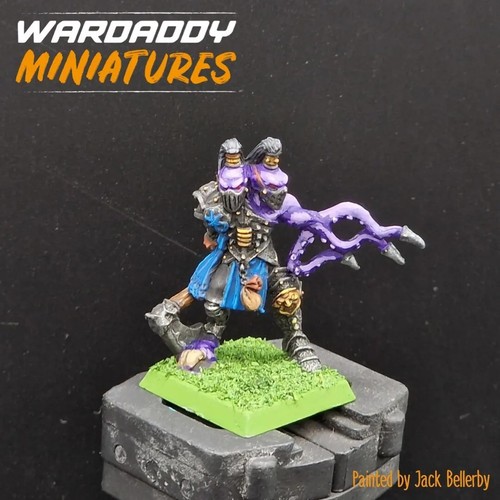 Pro painted warhammer fantasy - warhammer,