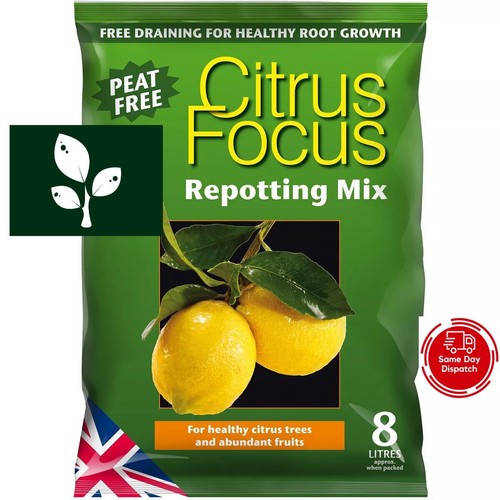 Growth technology citrus focus - growth,