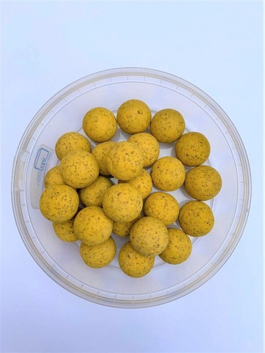 Catfish pro moggie munchers - pro,