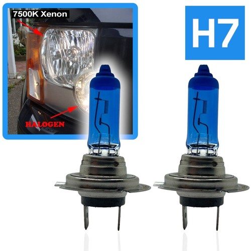 7500k xenon headlight bulbs - h7,