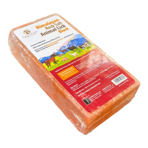 Himalayan rock salt lick - himalayan,