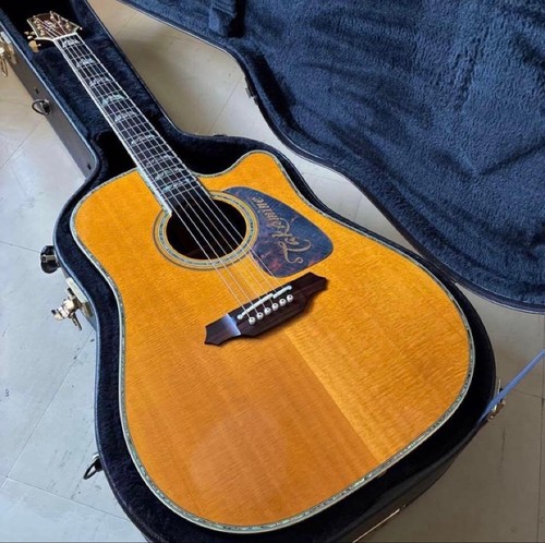 Takamine dsp200 japan all - dsp200, ct