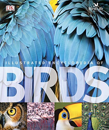 The illustrated encyclopedia - illustrated,