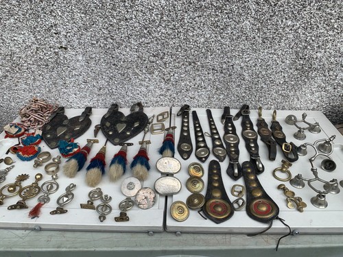 Antique show horse brasses - horse,