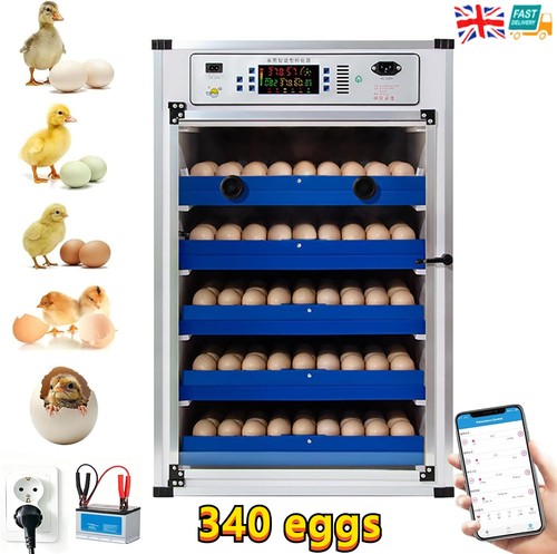 Automatic digital incubator - automatic,