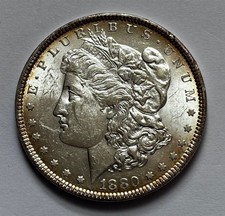 Usa morgan silver dollar - silver, 1880