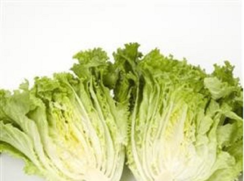 Lettuce batavian mini - x,