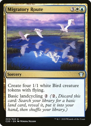 Mtg migratory route - mtg,