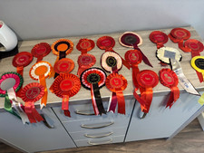 23 x VINTAGE DOG ROSETTES RIBBONS Awards Bundle Joblot collection 1990's .5