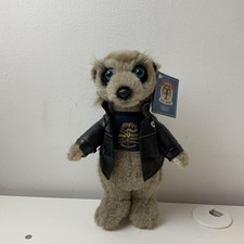 Vassily Meerkat Compare The
