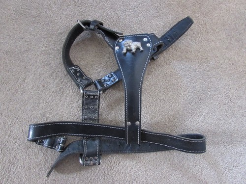 Black leather dog harness - leather,