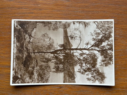 Vintage real photo postcard - vintage,