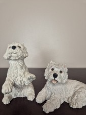 Border Fine Art Westie Dog