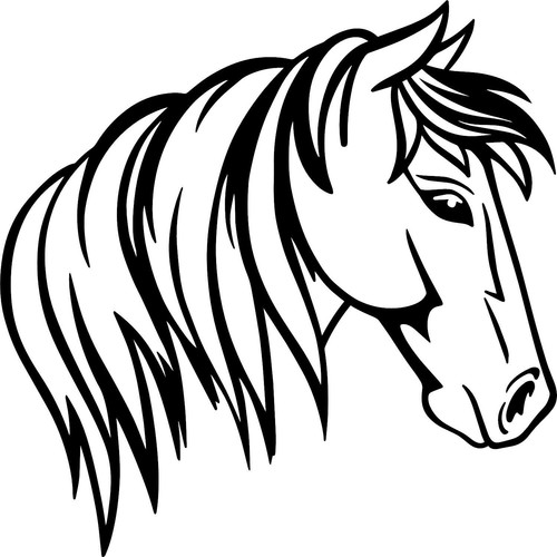 Horse vinyl decal - sticker, for