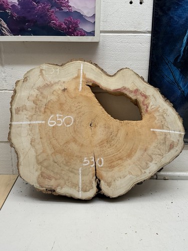 Maple cookie oval air - -,
