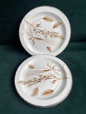 2x Midwinter Stonehenge Wild