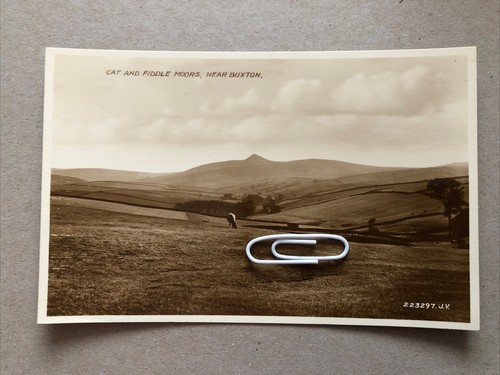 Cat and fiddle - and,