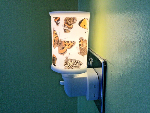 Redwood collection butterflies - redwood,