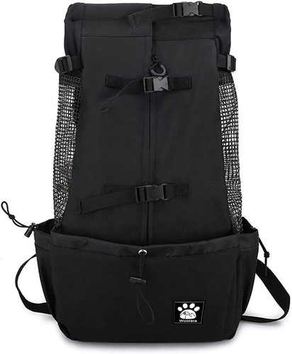 Comfy head out dog carrier - head,