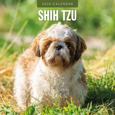 Shih Tzu 2026 Square Wall