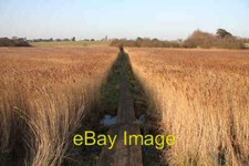 Photo 6x4 Footpath through