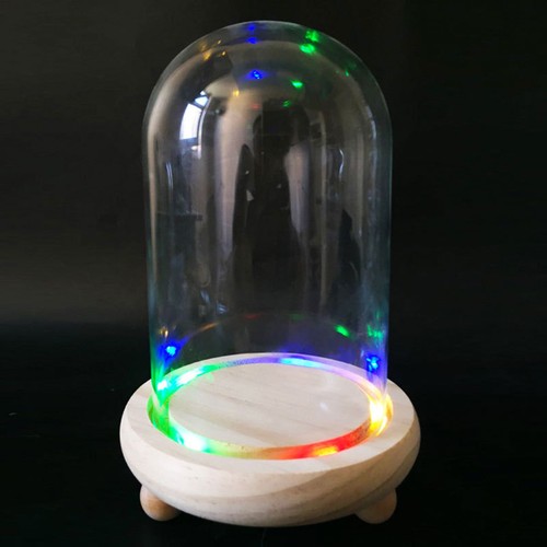 Fashion glass display - fashion,