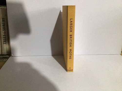 Observers book larger - book, of