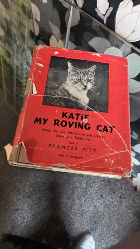 Katie roving cat frances - cat,