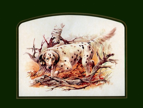 English setter gun - setter, art