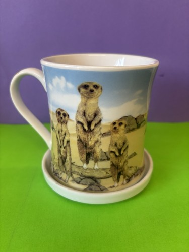 Leonardo collection meerkat - leonardo,