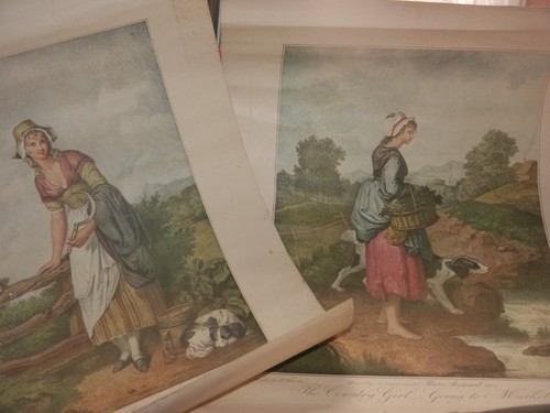 Two prints pears 1915 - two,