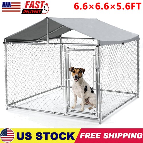 Large outdoor dog - large,