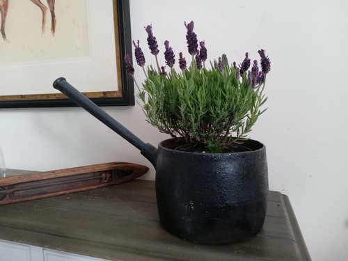 Cast iron gypsy pan long - cast,