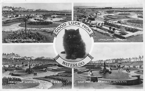 Family history postcard - family,