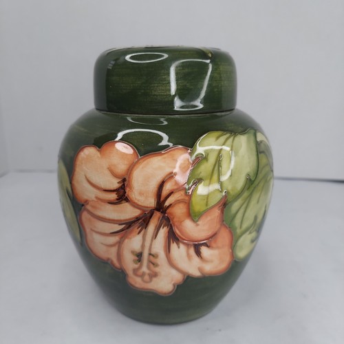 Moorcroft hibiscus flowers - hibiscus,
