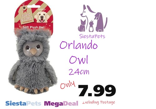 Rosewood cupid comet orlando - rosewood,