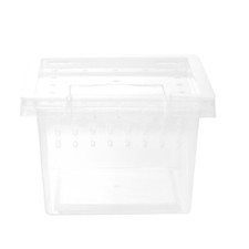 Reptile live food - food, box