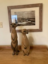 MEERKAT MANOR