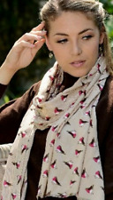 Robins Scarf Birds Robin Red Breast Ladies Beige Wrap Lightweight Taupe Shawl