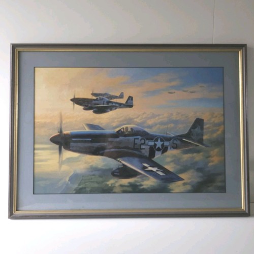 Aviation 51 mustangs - us,