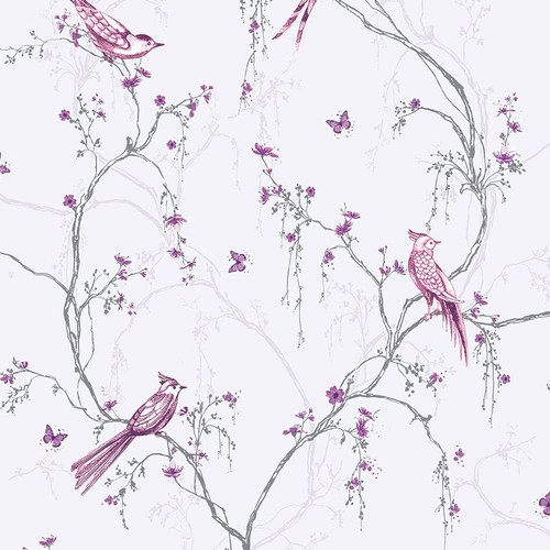 Superfresco easy songbird - superfresco,