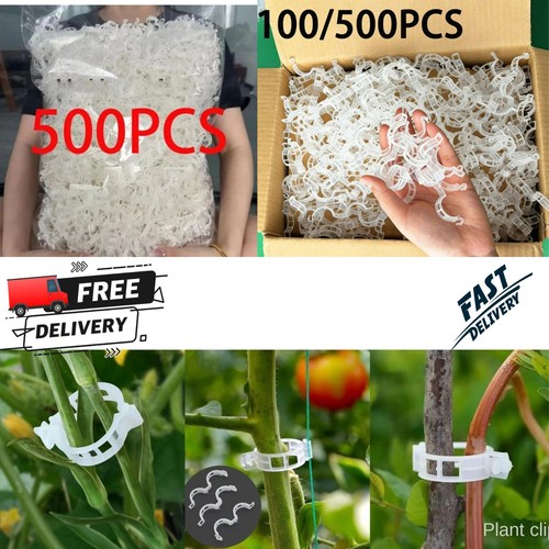 100x clip tomato and veggie - ,