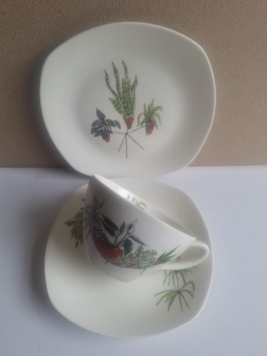 Midwinter plant life cup - plant,
